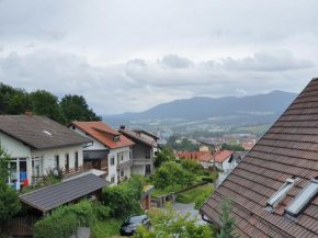 Großzügige Ferienwohnung